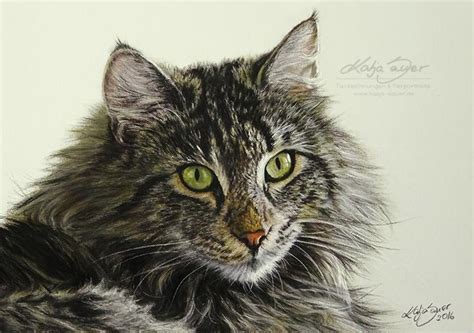 Lebensnahe Tierzeichnungen und Tierportraits in Lichtenau | Tiere ...