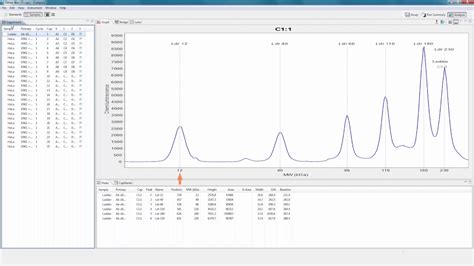 Image result for Compass Software ProteinSimple