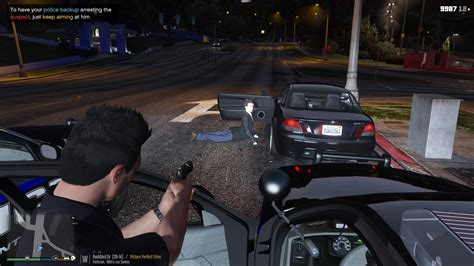 Image result for Paint.NET Lspdfr