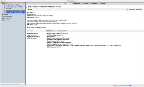 Java VisualVM 的图像结果