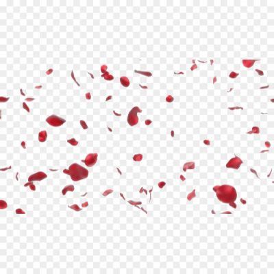 Falling Petals PNG Clipart GWAC0RDZ - Pngsource