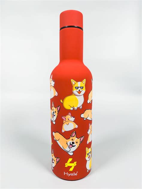 Sparky Spritz | Insulated | Stainless Steel | Flask | 500ml – Hyttle