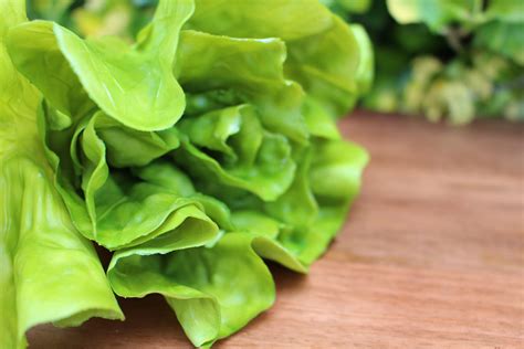Head of Lettuce | Just Dough It!