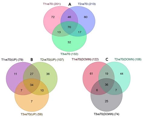 Transcriptome Profiling during Sequential Stages of Cryopreservation in ...