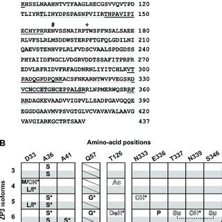 Image result for Amino Acid Post-Translational Modification