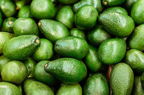 Superfood of the Month: Avocado | Lexington Medical Center Blog | LexWell