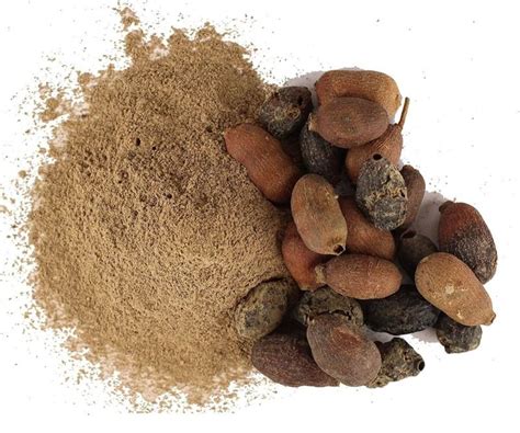 Jamun Guthli Powder Exporter, Supplier from Indore