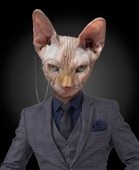 ArtStation - Evil Cat