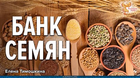 Банк Семян - YouTube