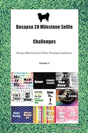 Buy Bosapso 20 Milestone Selfie Challenges Bosapso Milestones for ...