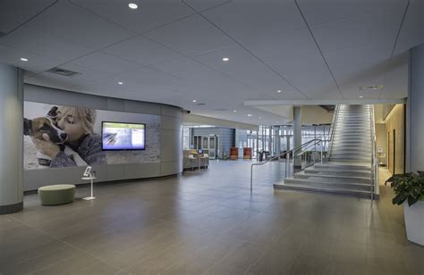IDEXX Synergy Center | AIA Maine