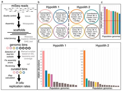 Microbial Hotspots in Lithic Microhabitats Inferred from DNA ...