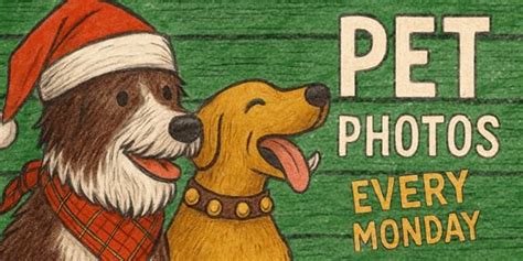 Pet Photos with Santa at Mesa Mall, 2424 US HWY 60 & 50, Grand Junction ...