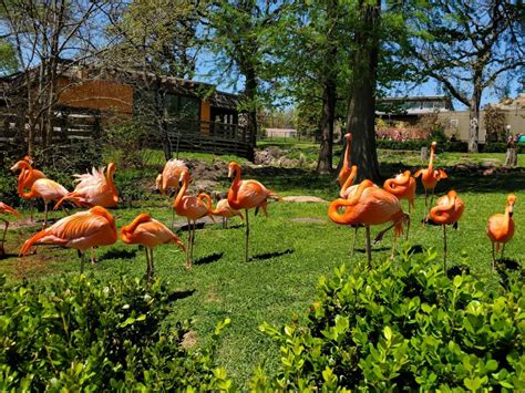Oklahoma City Zoo: Information, Tickets and Reviews
