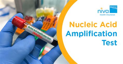 Image result for Nucleic Acid Amplification Test Explained