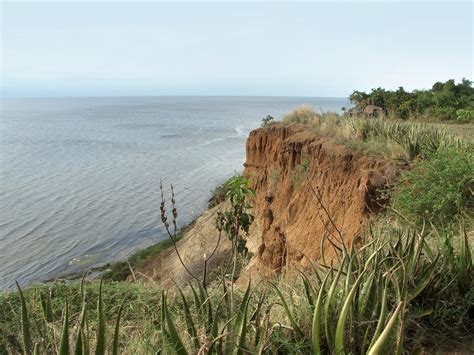 Lithostratigraphy and Paleoenvironmental structure of the Kalpi Cliff ...