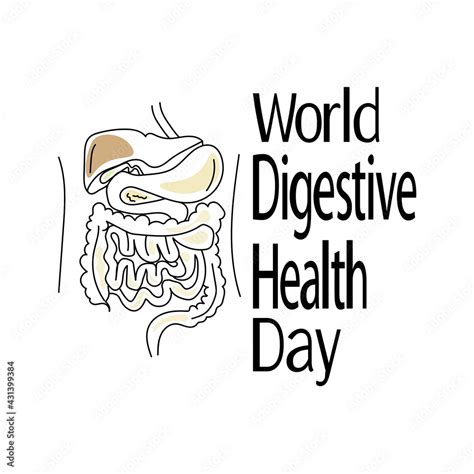 Image result for Digestive System Theme