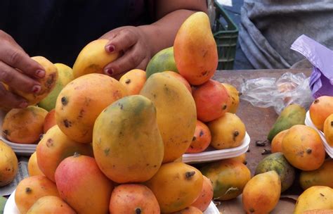 Image result for Using Convert in SQL