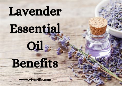 Lavender Essential Oil Benefits And Uses