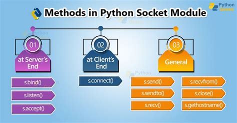 Image result for Python Networknectar