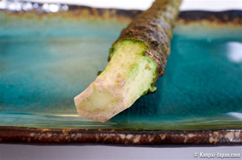 Wasabi - The True Japanese Horseradish