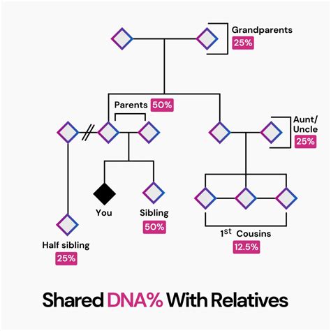 How Much DNA Do Siblings Share And What Does It Signify?