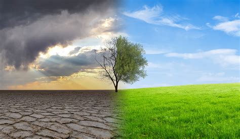 8 Ways Weather and Climate Impact Population Growth - Social Studies