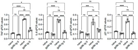 Immunometabolic Regulation of Vaccine-Induced Antibody Responses in ...