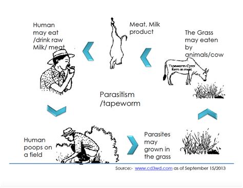 D'source Case Study - Slide Show | Eco-san Dry Toilet | D'Source ...