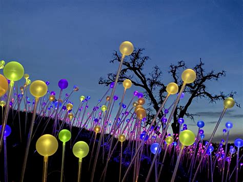 Sensorio Paso Robles: Why you Should Visit - Christina's Cucina