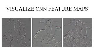 Image result for Convolution Feature Map