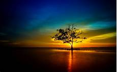 Landscape Sunset Picture by Ultra Hd Reflection Lonely Fresh Air Nature Landscape Sunset Picture