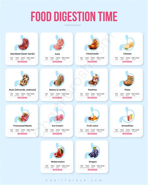 Food Digestion Time Chart – Fast & Slow Digesting Foods Explained