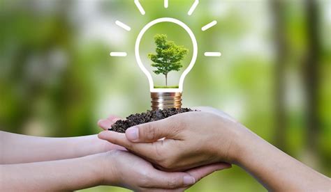 Gudlu Resorts - Chikmagalur Resorts for Family and Couples