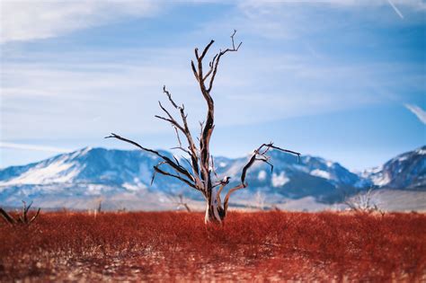 Image result for Canon EOS 6D Tutorial