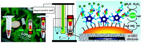 Biomedical Probes Based on Inorganic Nanoparticles for Electrochemical ...