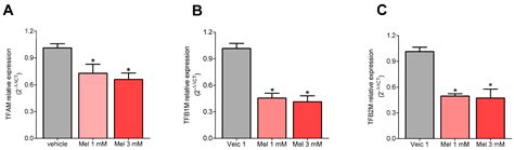 Mitochondria Transcription Factor A: A Putative Target for the Effect ...