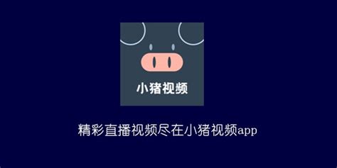 #猪猪侠#手游宣传|平面|海报|zhizhiJLV - 原创作品 - 站酷 (ZCOOL)