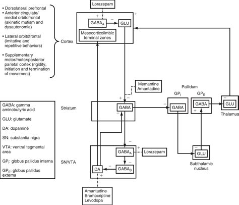 Catatonia, Neuroleptic Malignant Syndrome, and Serotonin Syndrome - Clinical Tree