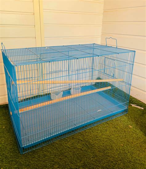 Bird CAGE Blue Colour 2.5FT with 2 Gate-Best for Love Bird Cages ...