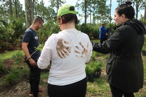 Image result for Miami Heat Tree-Planting Project