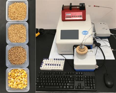 Detection of T-2 Toxin in Wheat and Maize with a Portable Mass Spectrometer
