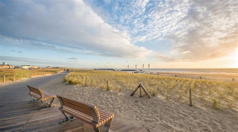 HILTON GARDEN INN LEIDEN (Oegstgeest) - Hotel Reviews, Photos, Rate ...