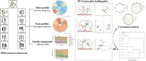 Characterization, Classification, and Authentication of Polygonatum ...