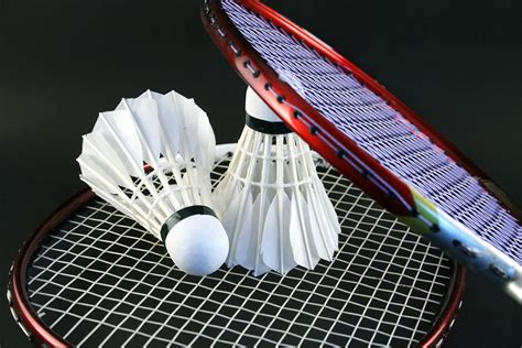 Badminton Clip Art 的图像结果