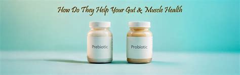 Gut & Muscle Health: Role of Prebiotics and Probiotics – NAKPRO NUTRITION