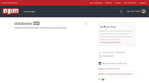 Image result for How to Use Npm with JavaScript