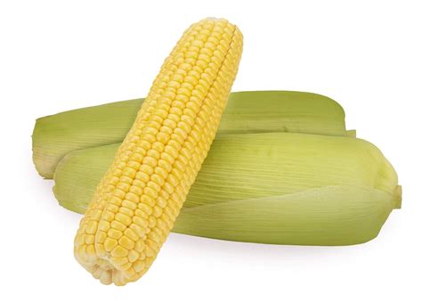 Fresh Sweet Corn, 2 Pieces Pack : Amazon.in: Grocery & Gourmet Foods
