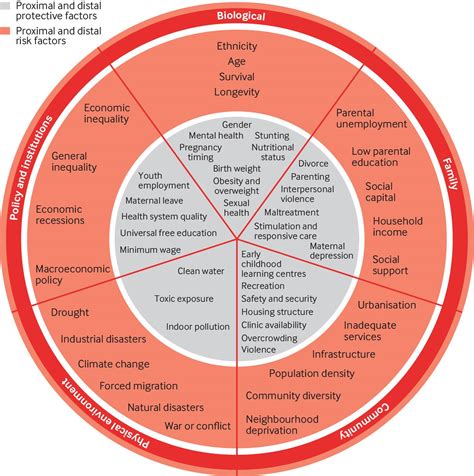 Who Life Course Approach 的图像结果
