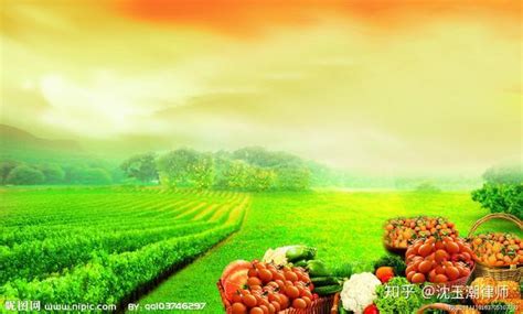 【图片新闻】种下水果 收获“甜蜜”- 农业要闻 - 河南省农业农村厅